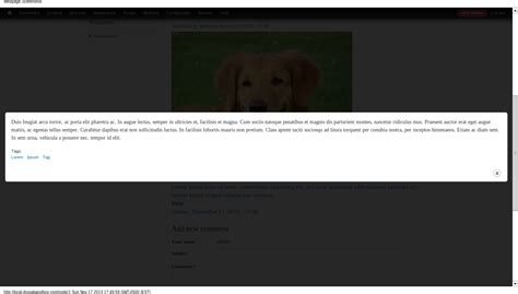 Image result for Color Box Drupal