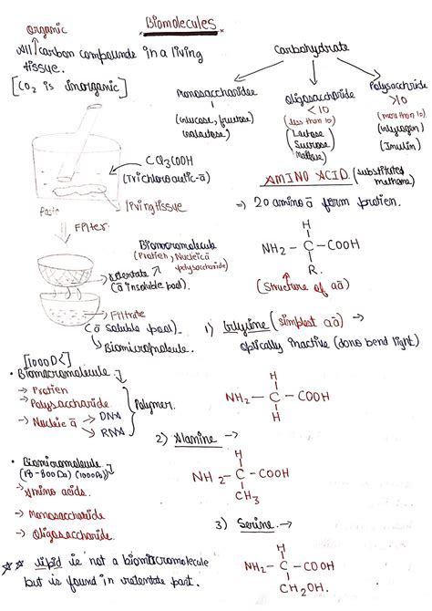 Image result for Biomolecules Class 12th