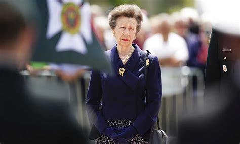 Princess Anne sustains minor injuries and concussion in an 'incident ...