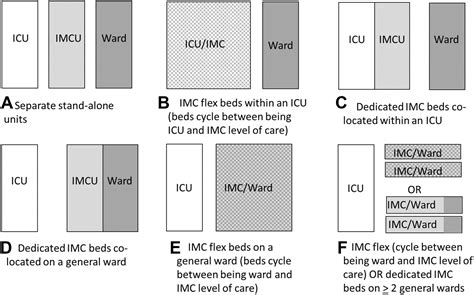 The Role of Intermediate Care in Supporting Critically Ill Patients and ...