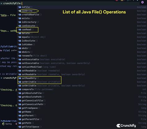 Image result for Java File Check Access
