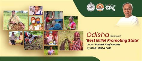 Home | Odisha Millet Mission