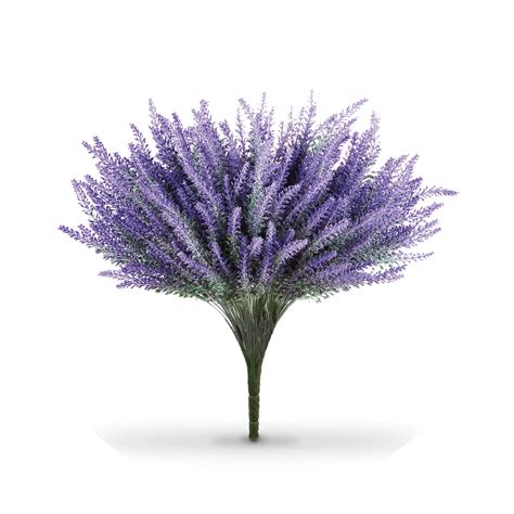 New Grow by Herbs and Hills - Freshly Grown Herbs & Plants – HERBS AND ...
