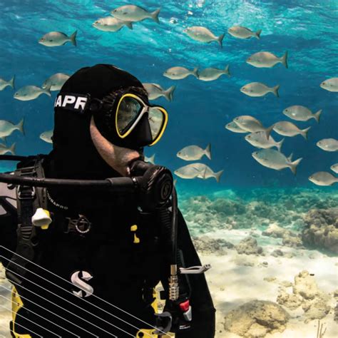 Neptune Memorial Reef dive site | PADI