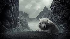 White Wolf Wallpaper 1920x1080 by White Wolf Wallpapers Wallpaper Cave White Wolf Wallpaper 1920x1080