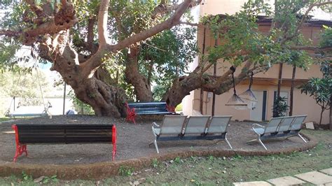 FIREFLY'S RESORT (Bhimashankar) - Hotel Reviews & Photos - Tripadvisor