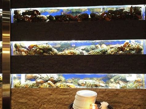 FISHMAN LOBSTER CLUBHOUSE, Toronto - Scarborough - Restaurant Reviews ...