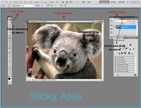 Image result for Photoshop Plugin Example