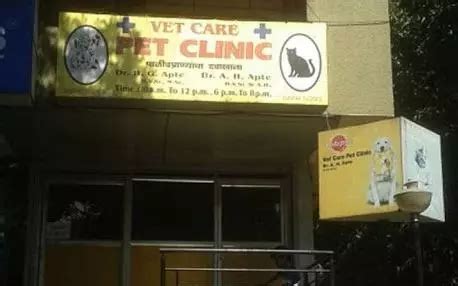 Bookmark These Veterinarians In Pune Who Can Make Your Pet Feel A-Okay ...