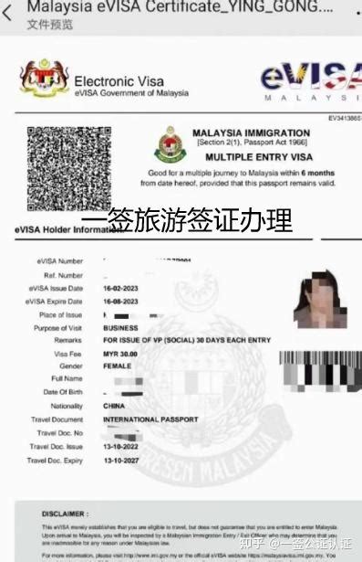 2022全新一文让你全弄懂马来西亚工作签证申请条件 - 知乎