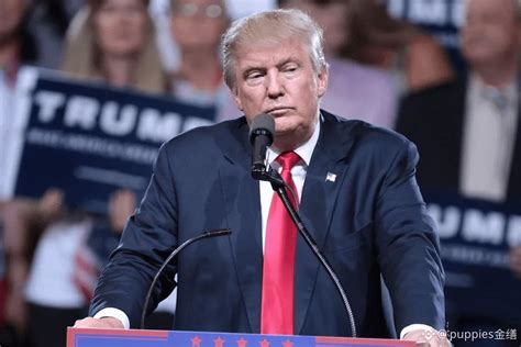 💥Trump's "Tariff Nuclear Bomb" Explodes with 600 Billion! G | 小奶狗爱金缮 on ...
