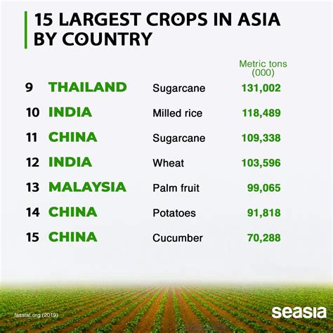 12++ Interesting Facts About Asian Crops and Agriculture - Seasia.co