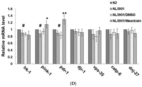Maackiain Ameliorates 6-Hydroxydopamine and SNCA Pathologies by ...