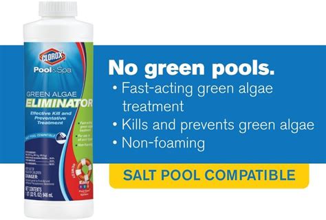 Buy Clorox Pool & Spa Green Algae Eliminator at Ubuy India