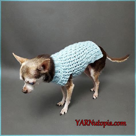 Image result for Dog Sweater Crochet Tutorial