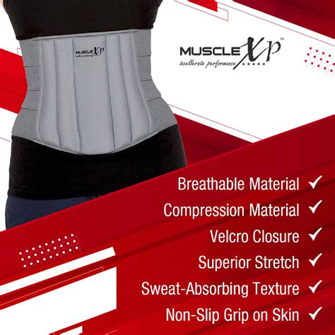 Buy MUSCLEXP DRFITNESS+ LUMBO SACRAL BELT BACK SUPPORT BELT WITH BACK ...