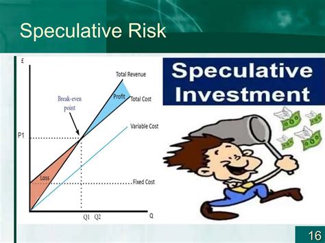 What Is Speculative Risk
