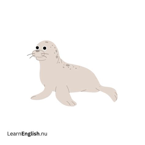 Animals in Spanish - learn spanish