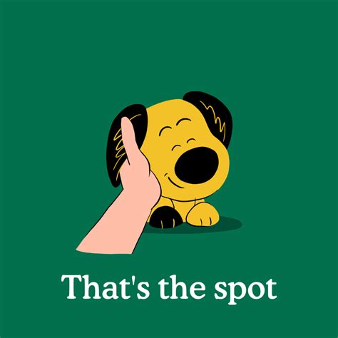 6 Places Where Dogs Like To Be Pet - Zigzag