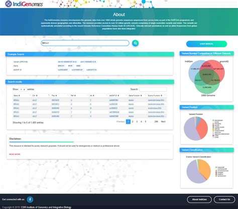 Display Query Syntax 的图像结果