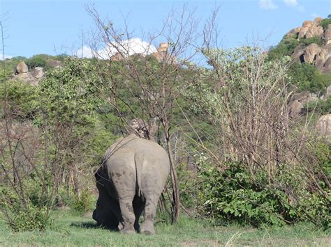 THE BEST Places to Visit in Matobo National Park - The Matopos