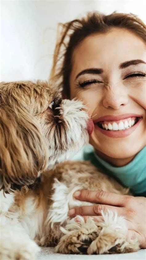 10 beautiful and intelligent animals to have as pets