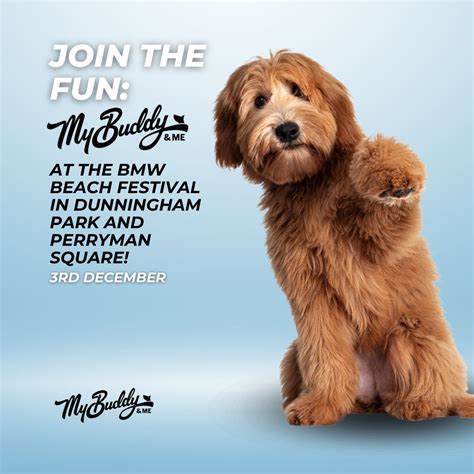 My Buddy And Me on LinkedIn: #mybuddyandme #petcare #petshampoo # ...