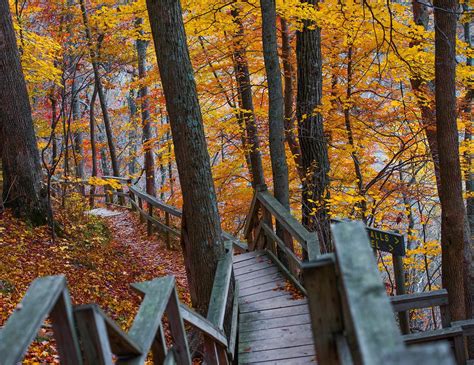 Madison Campground Indiana: Camping Reservations & Amenities