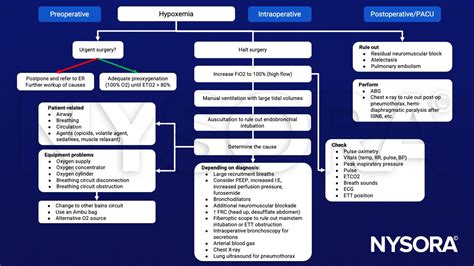 Image result for Hypoxemia Algorithm