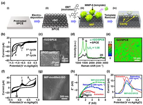 Rationally Designed Molecularly Imprinted Polymer Electrochemical ...
