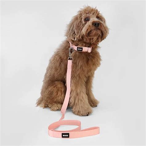 Boss Core Walk Leash for Dogs (Pink Cream) | Supertails