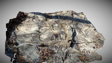 Weathering Models 的图像结果