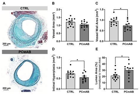 Phosphorylcholine Monoclonal Antibody Therapy Decreases Intraplaque ...