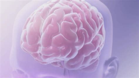 Health Spotlight: The mysterious 'brain-on-fire' disease - Indianapolis News | Indiana Weather ...