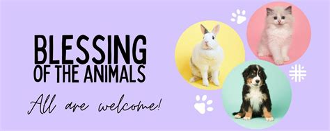 Blessing of the Animals, 805 Mount Vernon Hwy NW, Atlanta, GA, United ...