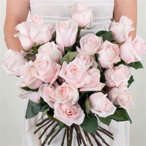Pink And White Roses