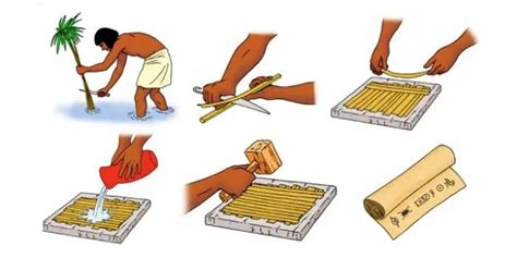 Image result for How Was Papyrus Made