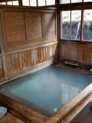 Image result for Onsen Types