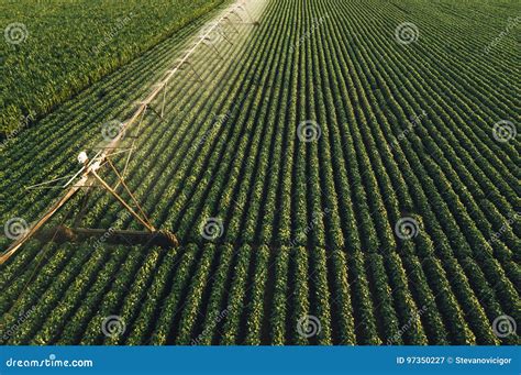 Aerial View of Irrigation Equipment Watering Green Soybean Crops Stock ...