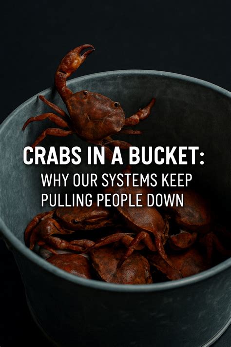 Crabs in a Bucket: Why Our Systems Keep Pulling People Down | by Lisa ...