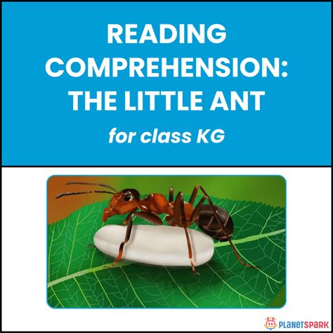 Class KG Short Stories: The Big Elephant | PlanetSpark