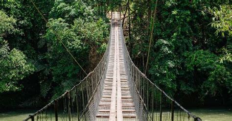 Kothmale Hanging Bridge Is An Ultimate Nature Retreat