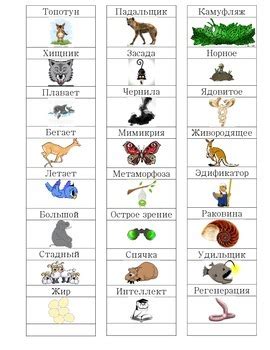 Image result for Evolution of Russian Language