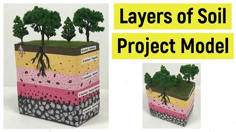 Soil Layers Science Project 的图像结果