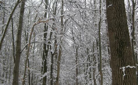 POKAGON STATE PARK (2026) All You Need to Know BEFORE You Go (with ...