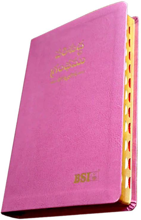 Telugu OV Gilt DY TI Dark Pink PU Yaap | Telugu Bibles | Bibles in ...