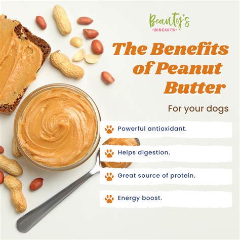 Health benefits of peanut butter – Artofit