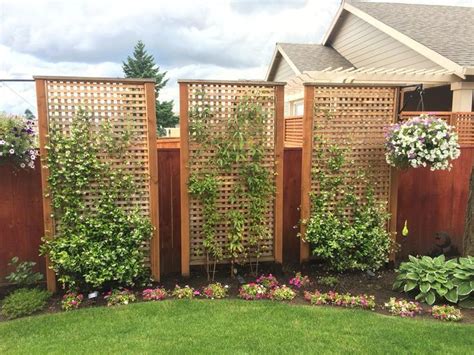47 Cheap Privacy Landscaping Ideas | Privacy fence landscaping ...