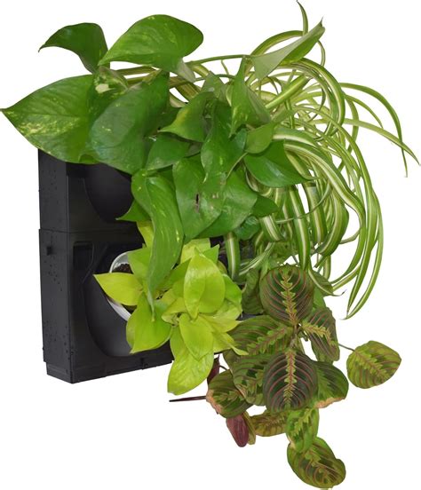 Buy Living Walls Direct | Bustani 2x2 Vertical Garden | 4 Pot Living ...