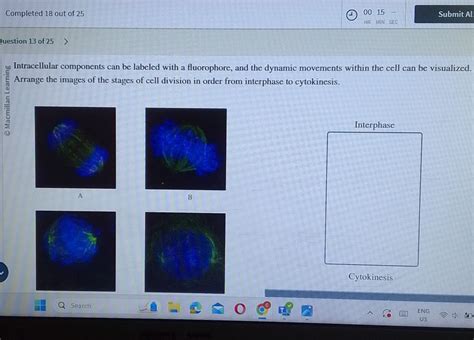 Solved Completed 18 ﻿out of 25(1)0015-Submit Al2uestion 13 | Chegg.com